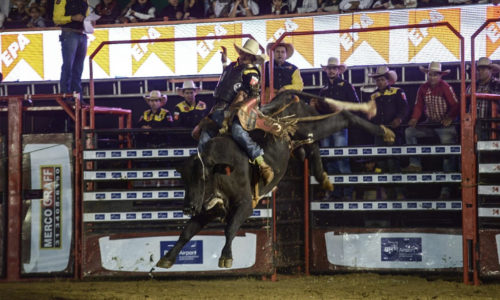 Justiça libera montarias em touros no Pedro Leopoldo Rodeio Show